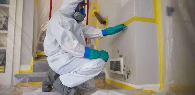 MOLD REMOVAL & REMEDIATION IN GRAND