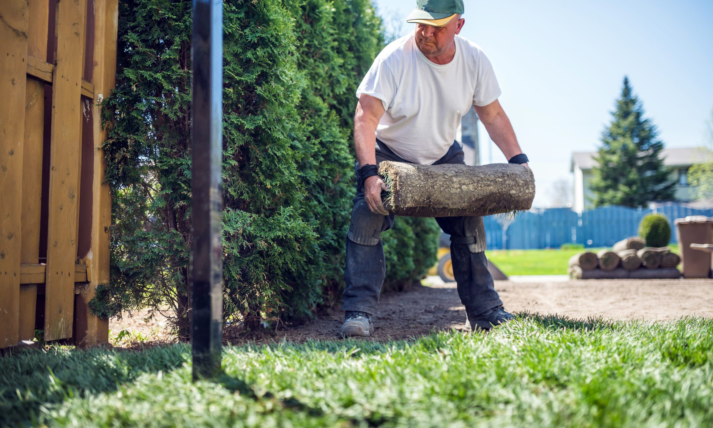 lawn care business insurance