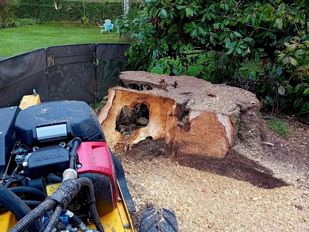 Stump Grinding Stockport